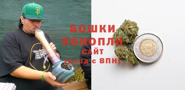 метадон Богданович