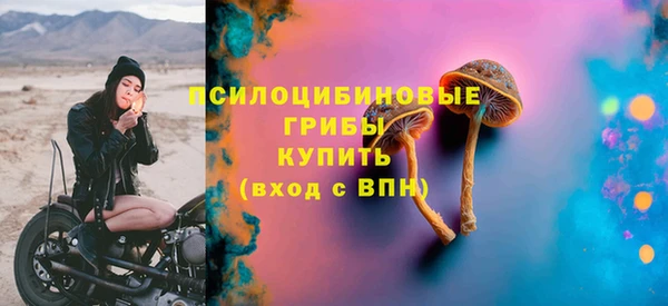 МДПВ Гусиноозёрск