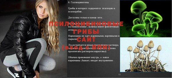 MDMA Premium VHQ Анжеро-Судженск