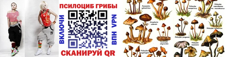 Галлюциногенные грибы Cubensis  магазин  наркотиков  Городовиковск 